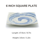 Mino Ware Funshuki Seiryuu Series Underglaze Bowl and Plate Set