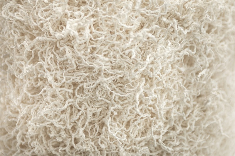 Little Heaven Pendant Light OPEN BOX