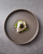 ALANIZ YIN Series Woodgrain Flat Plate