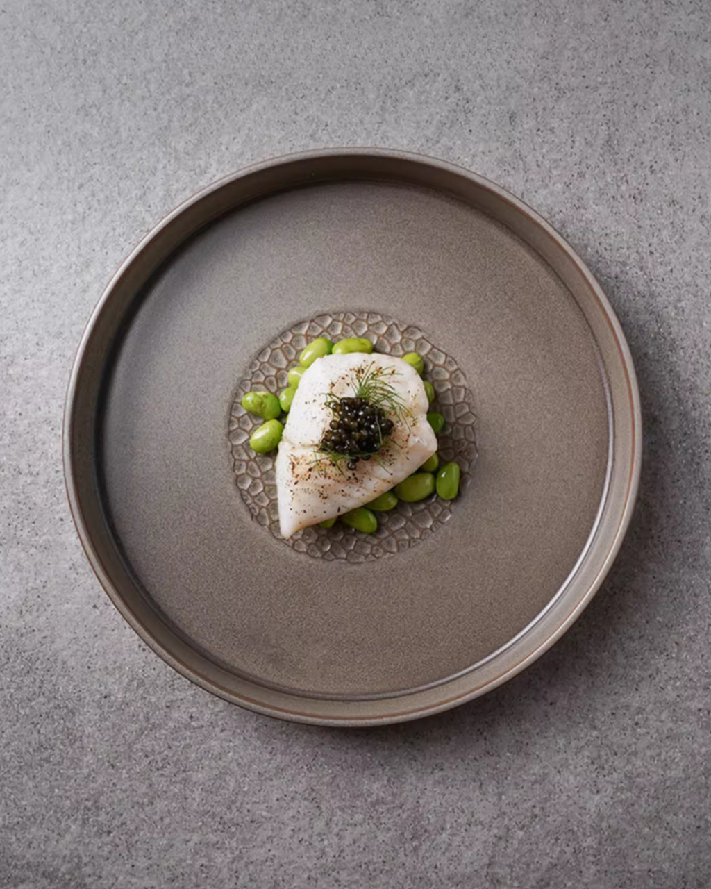 ALANIZ YIN Series Woodgrain Flat Plate