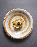 ALANIZ JIN Series Wood-Fired Gloss Rimmed Vintage Plate