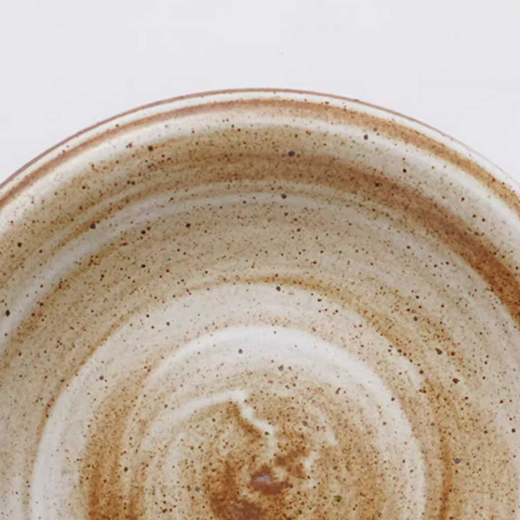 ALANIZ JIN Series Wood-Fired Gloss Rimmed Vintage Plate