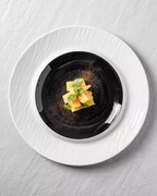 ALANIZ TER Series Lunar Eclipse Raised-Center Plate