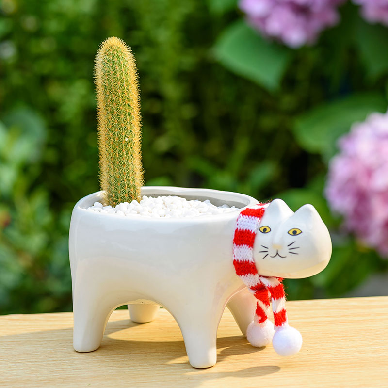 Ceramic Abstract Cat Planter