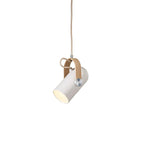 Carronade Spot Pendant Light