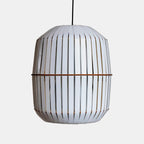 Wren Pendant Light