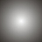 Arborescence Large Pendant Light