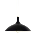 1965 Pendant Light