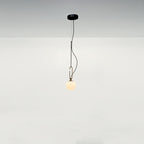 NH Suspension Light