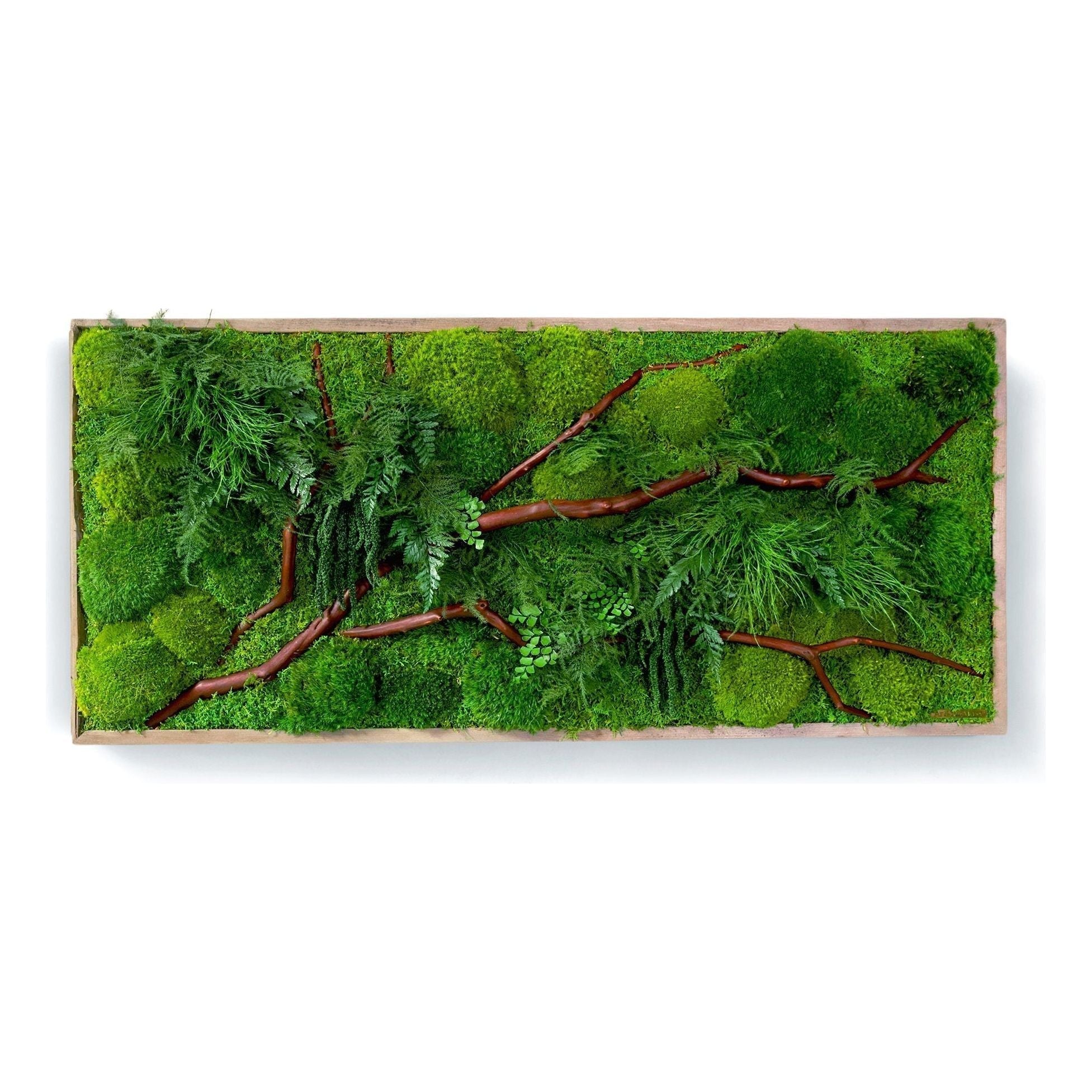Red Branch 18” X 40”