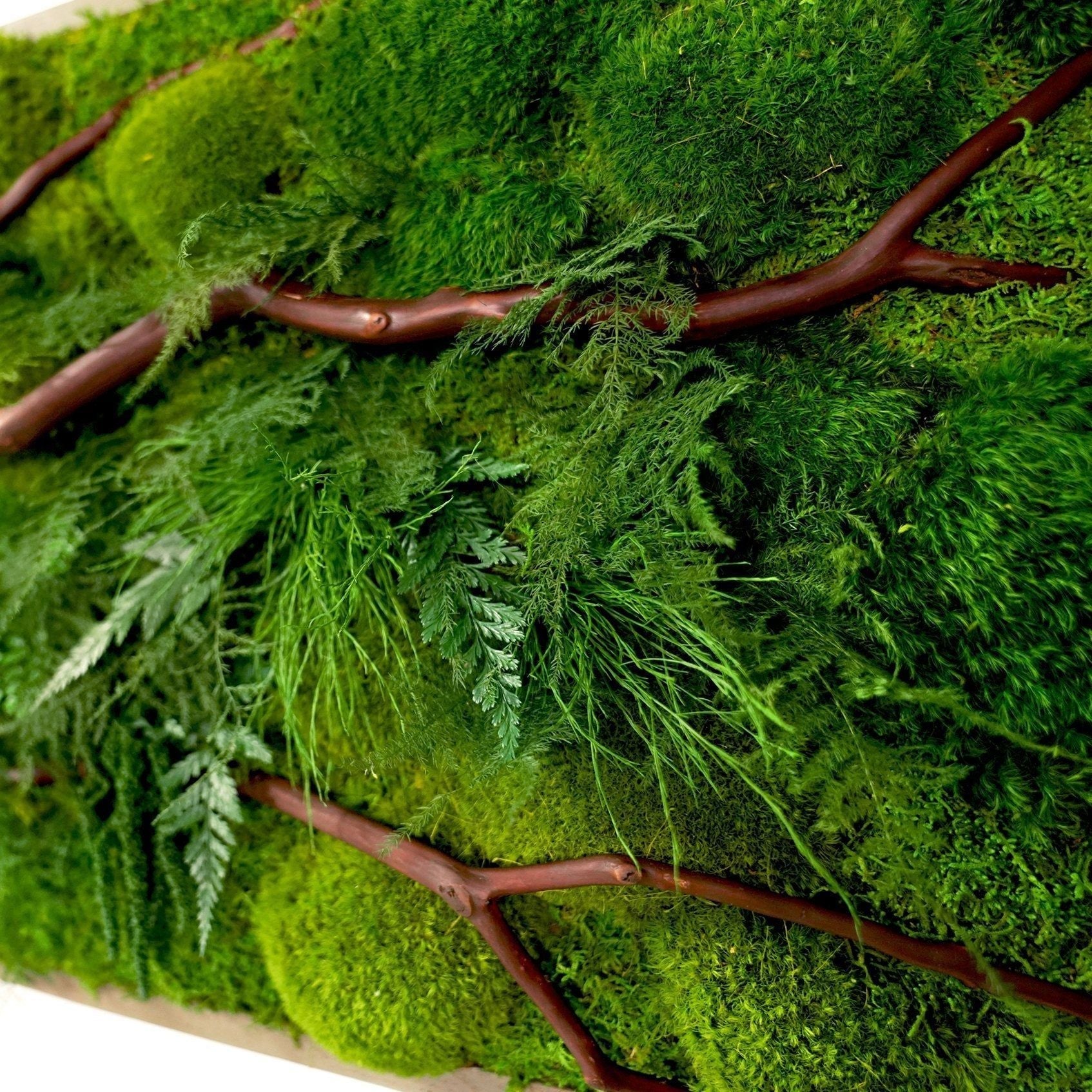 Handmade 68” x 33” Natural Branch Moss & Ferns Plant Painting. Oversized Statement Piece