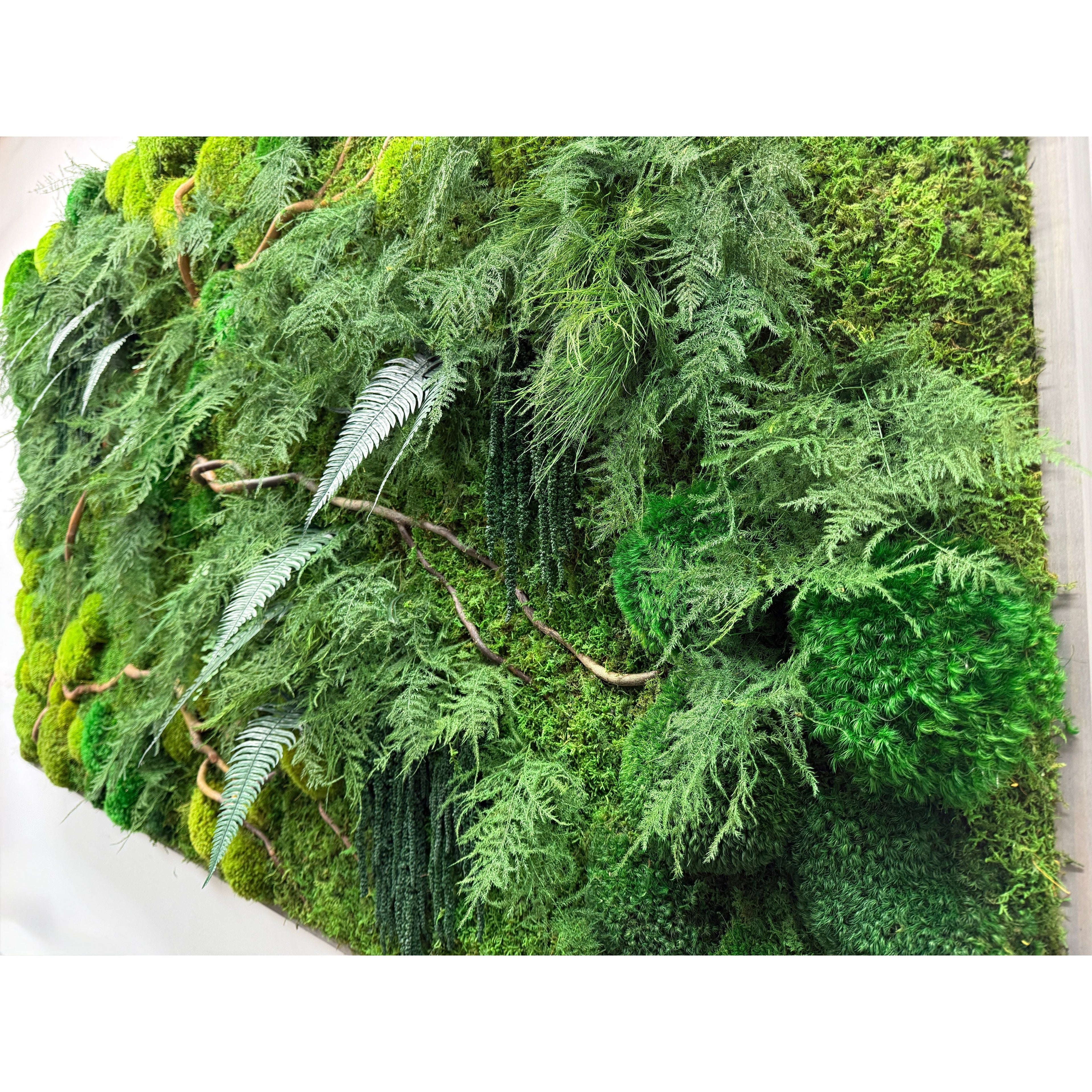 Natural Branch Moss & Ferns Plant Painting Handmade 68” x 33”