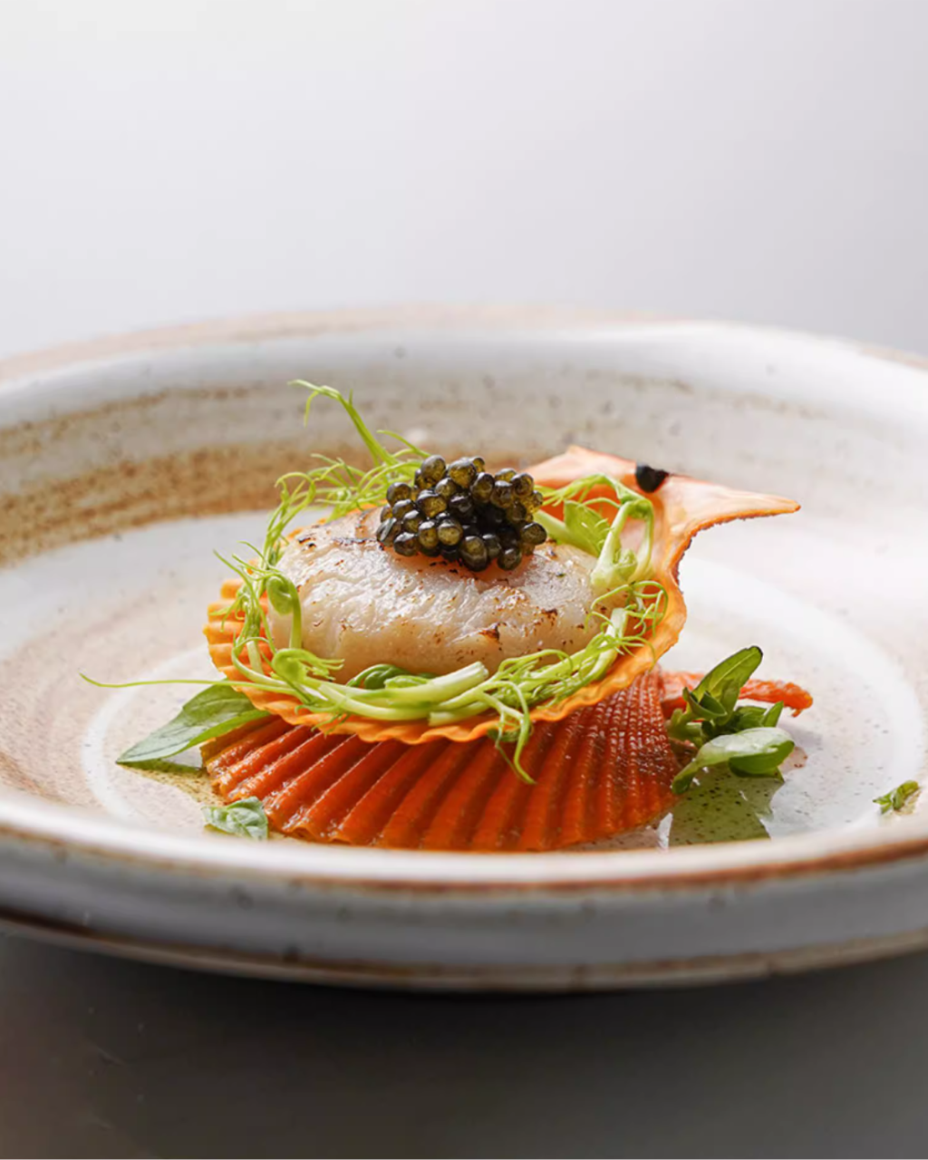 ALANIZ JIN Series Wood-Fired Gloss Rimmed Vintage Plate