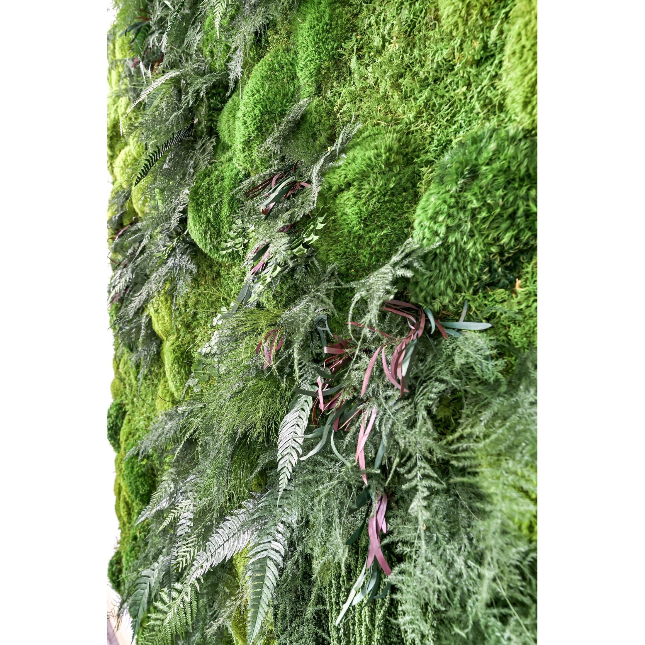 Moss & Ferns - 68" x 68" Oversized Statement Piece