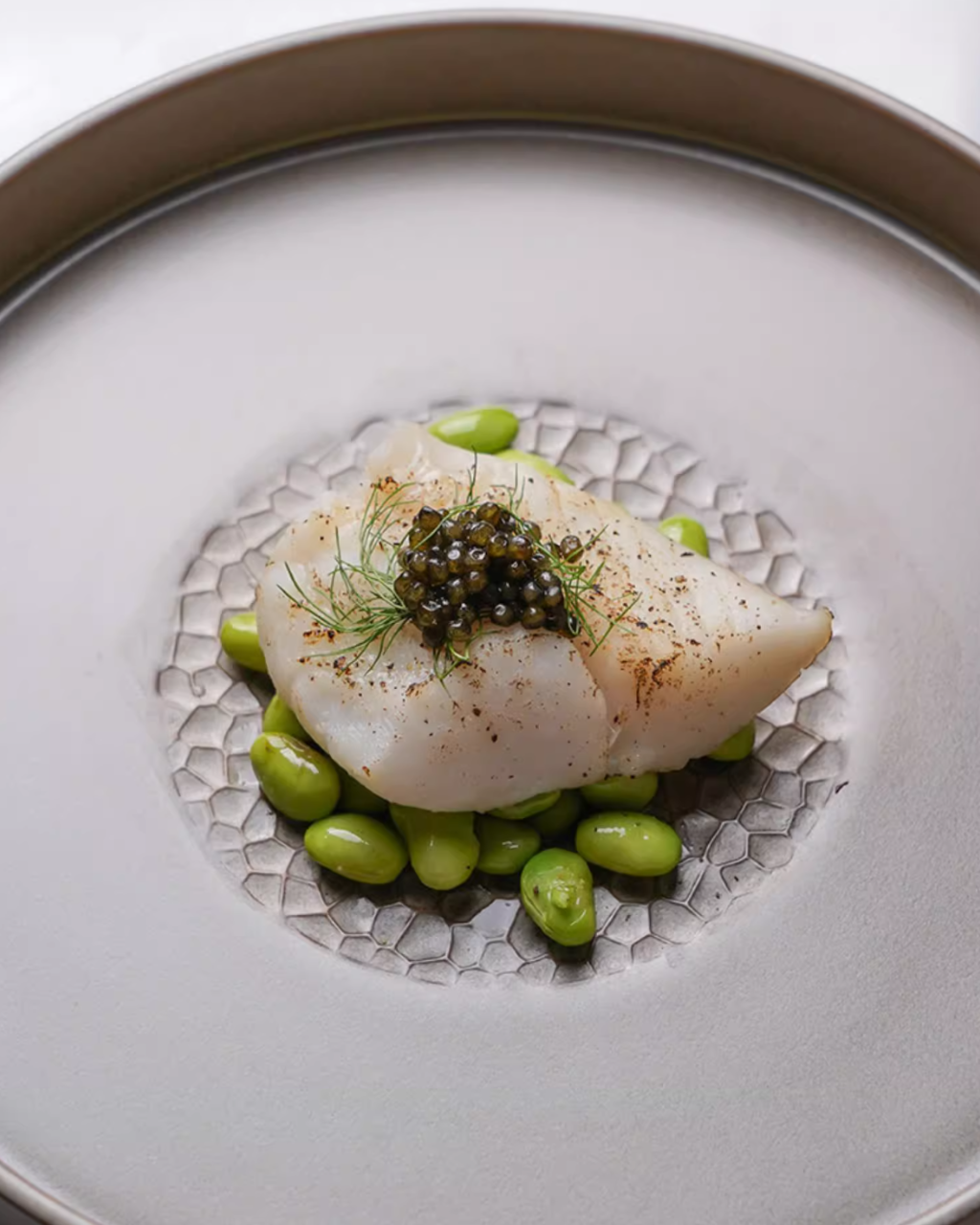 ALANIZ YIN Series Woodgrain Flat Plate