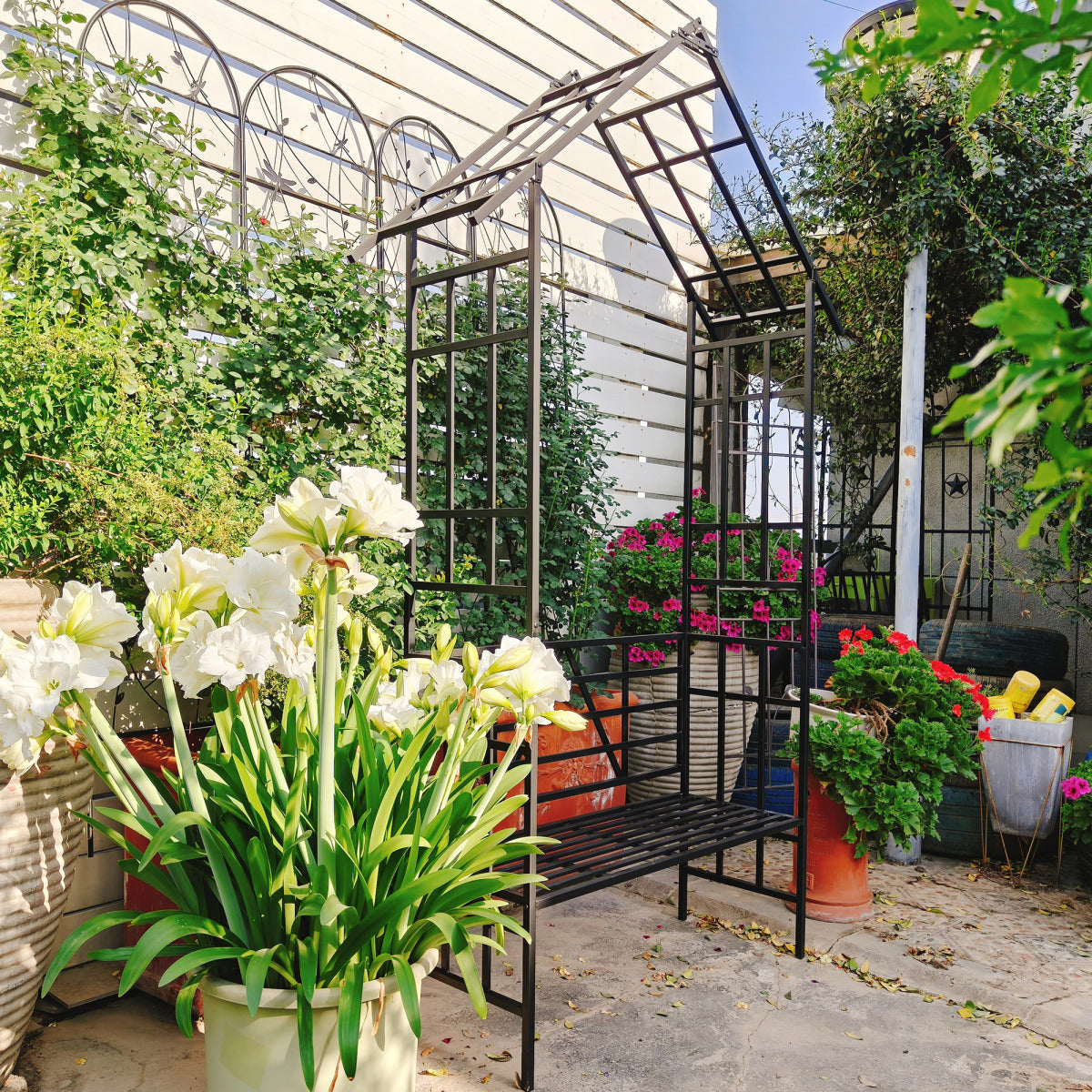 e1a6a5c4-6183-44fc-aa44-4251c401032b