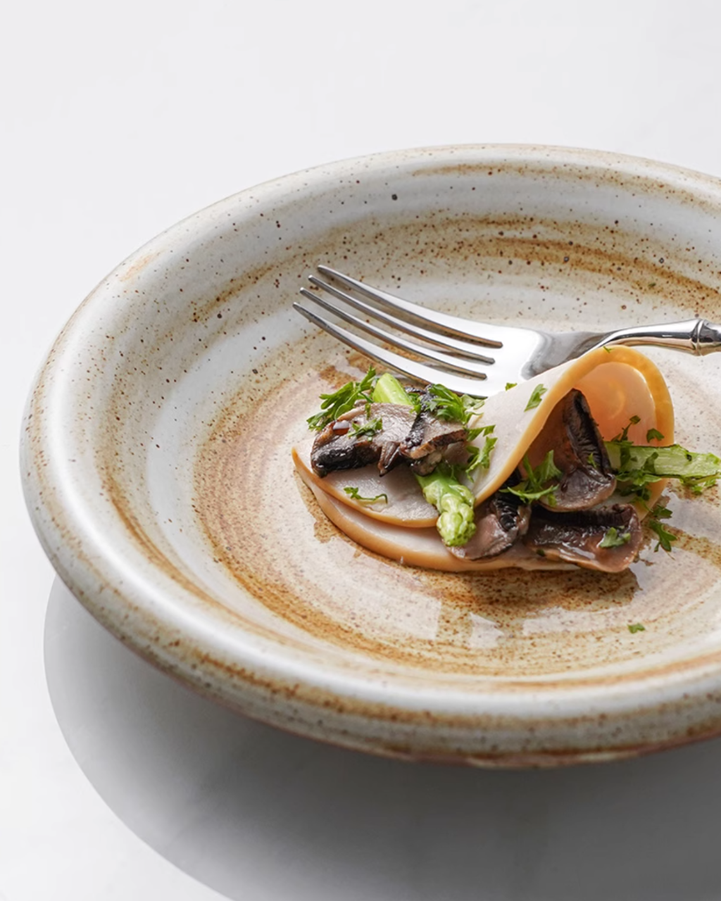 ALANIZ JIN Series Wood-Fired Gloss Rimmed Vintage Plate