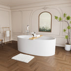 Luxury 65" Matte White Bathtub