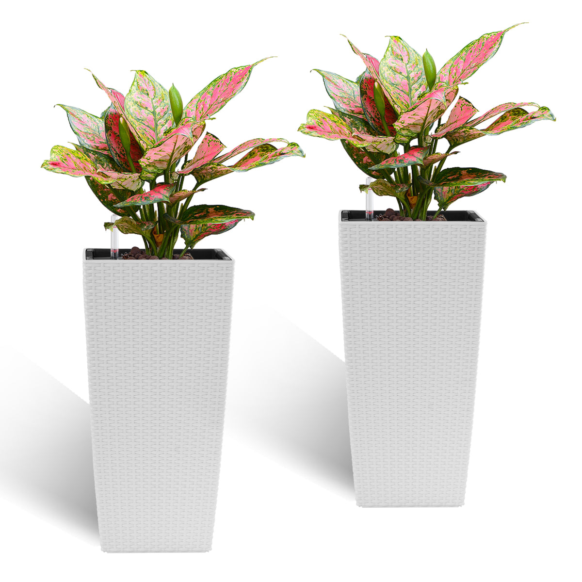 c0e30167-7f3e-4042-babd-c598cfad0433