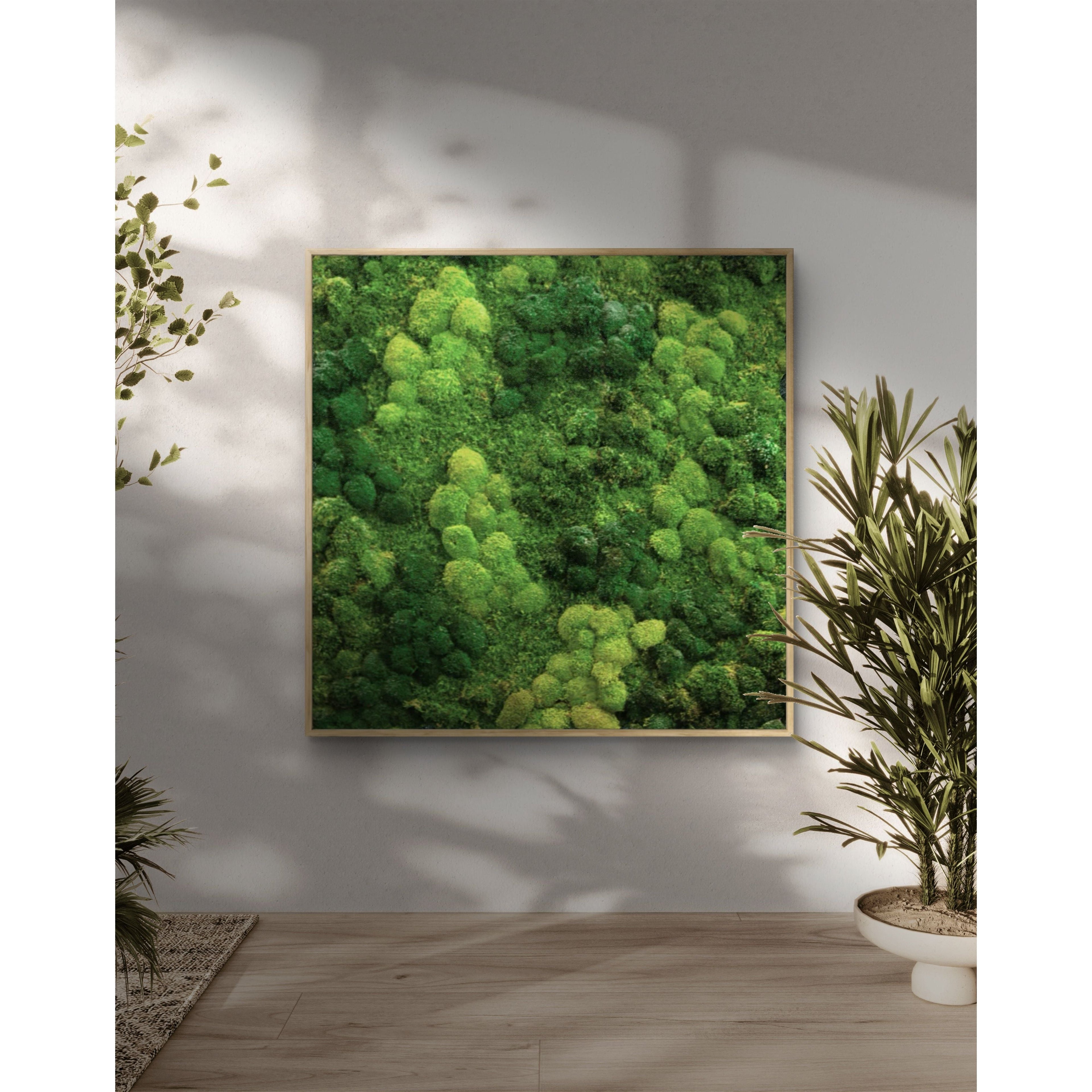 Moss Wall Preserved High Profile Moss in Gray Frame