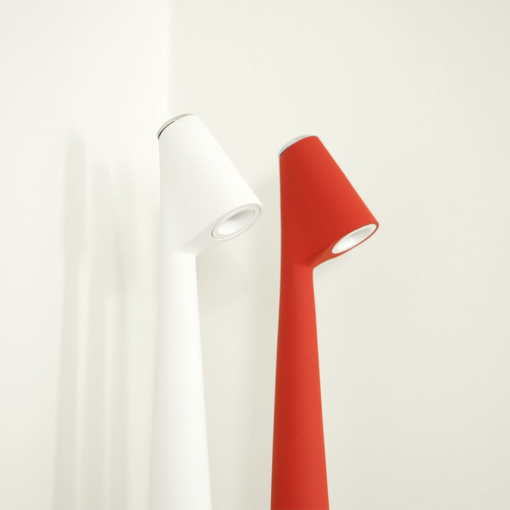 Africa Built-in Battery Table Lamp