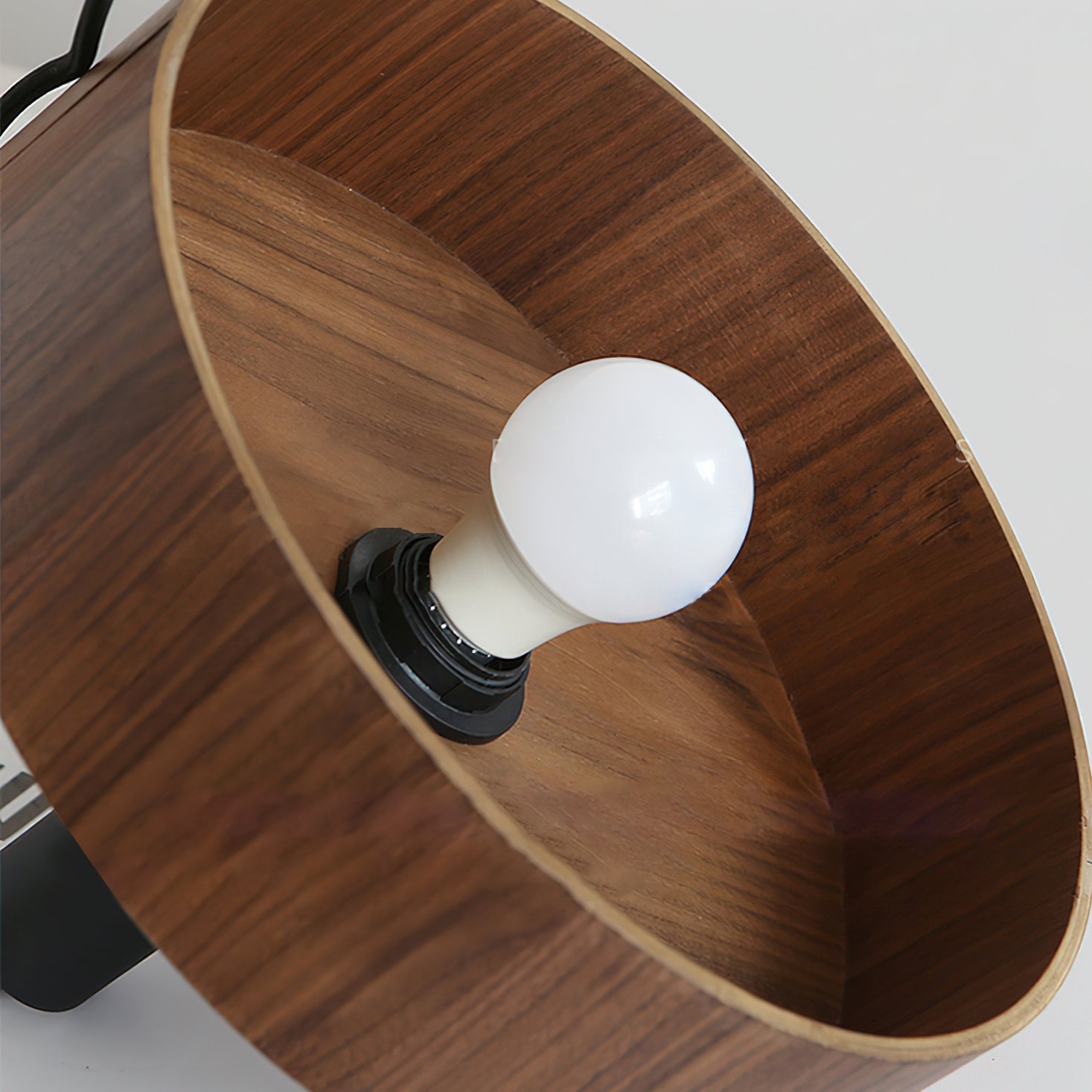 Angilia Pendant Light