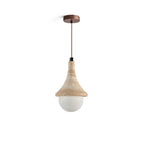 Annadel Pendant Light