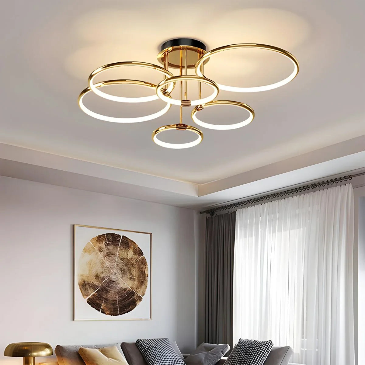 Metal Circular Chandelier Ceiling Lamp