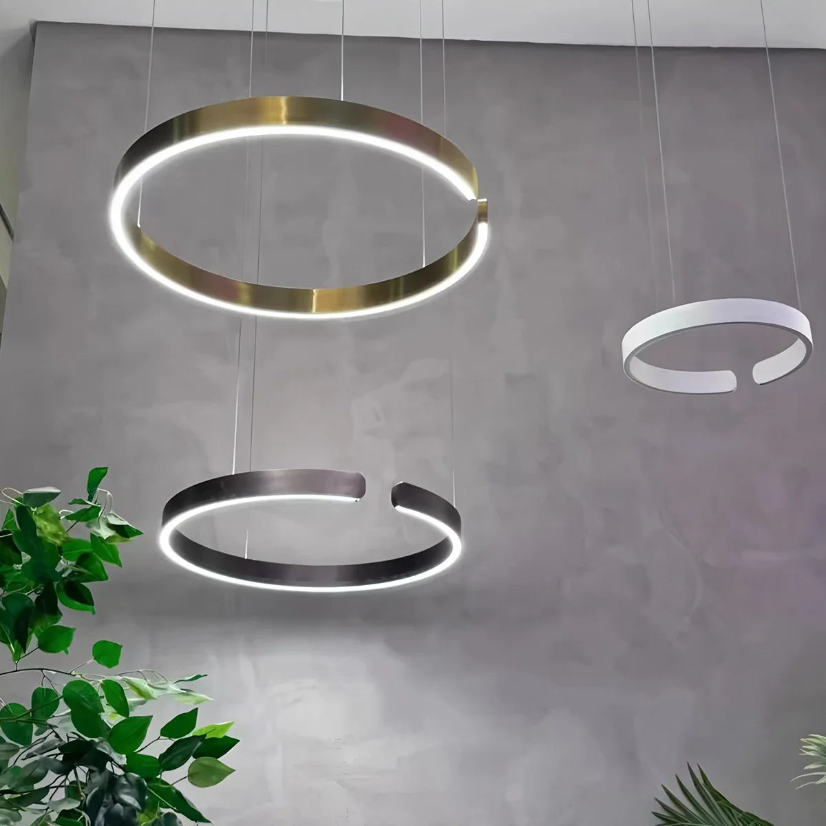Modern Ring LED Chandelier for Living Room