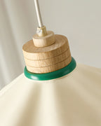 Arenal  Pendant Light