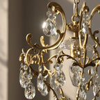 Birdcage Pendant Light