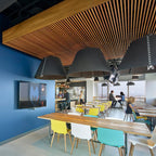 Acoustic Pendant Lamp