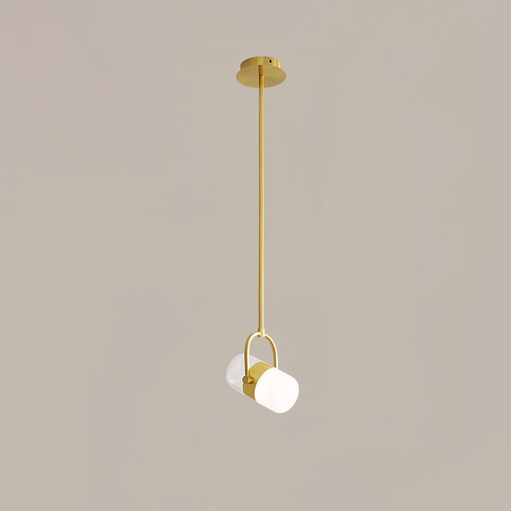 Capsule Rotating Pendant Lamp