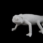 Chameleon Table Lamp