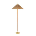 Chinese Hat  Floor Lamp