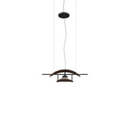Corolle Pendant Lamp