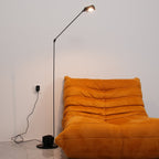 Zalena Floor Lamp