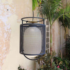 Denglong Pendant Lamp