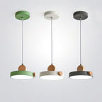 Detroit Pendant Light