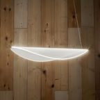 Diphy Pendant Lamp