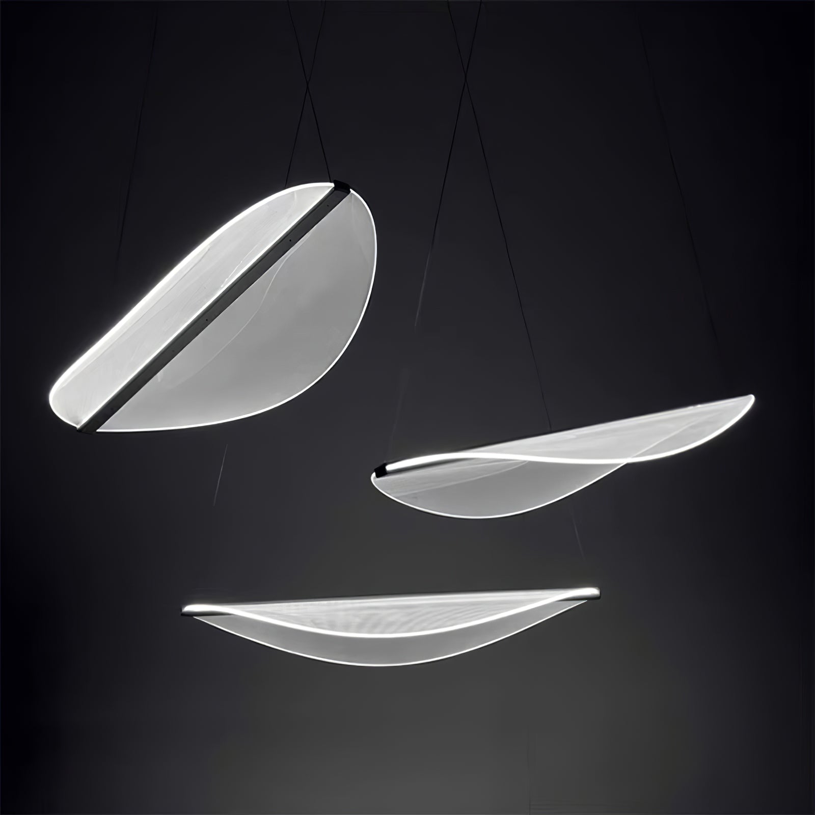 Diphy Pendant Lamp