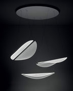 Diphy Pendant Lamp