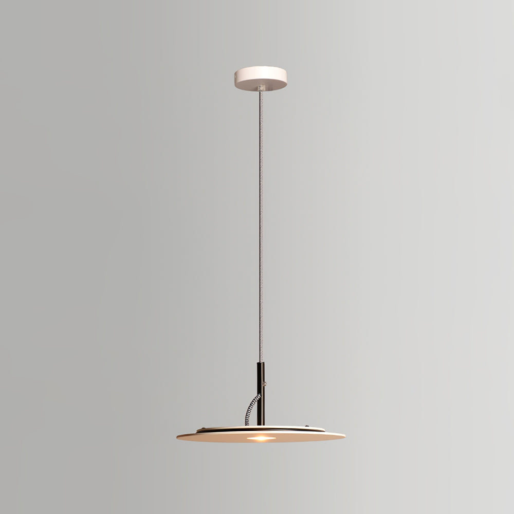 Eaves Pendant Lamp