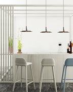 Eaves Pendant Lamp