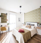 Ginger Pendant light