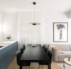 Ginger Pendant light