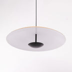 Ginger Pendant light