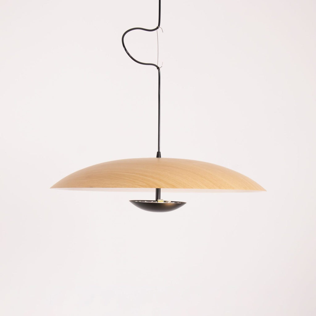 Ginger Pendant light