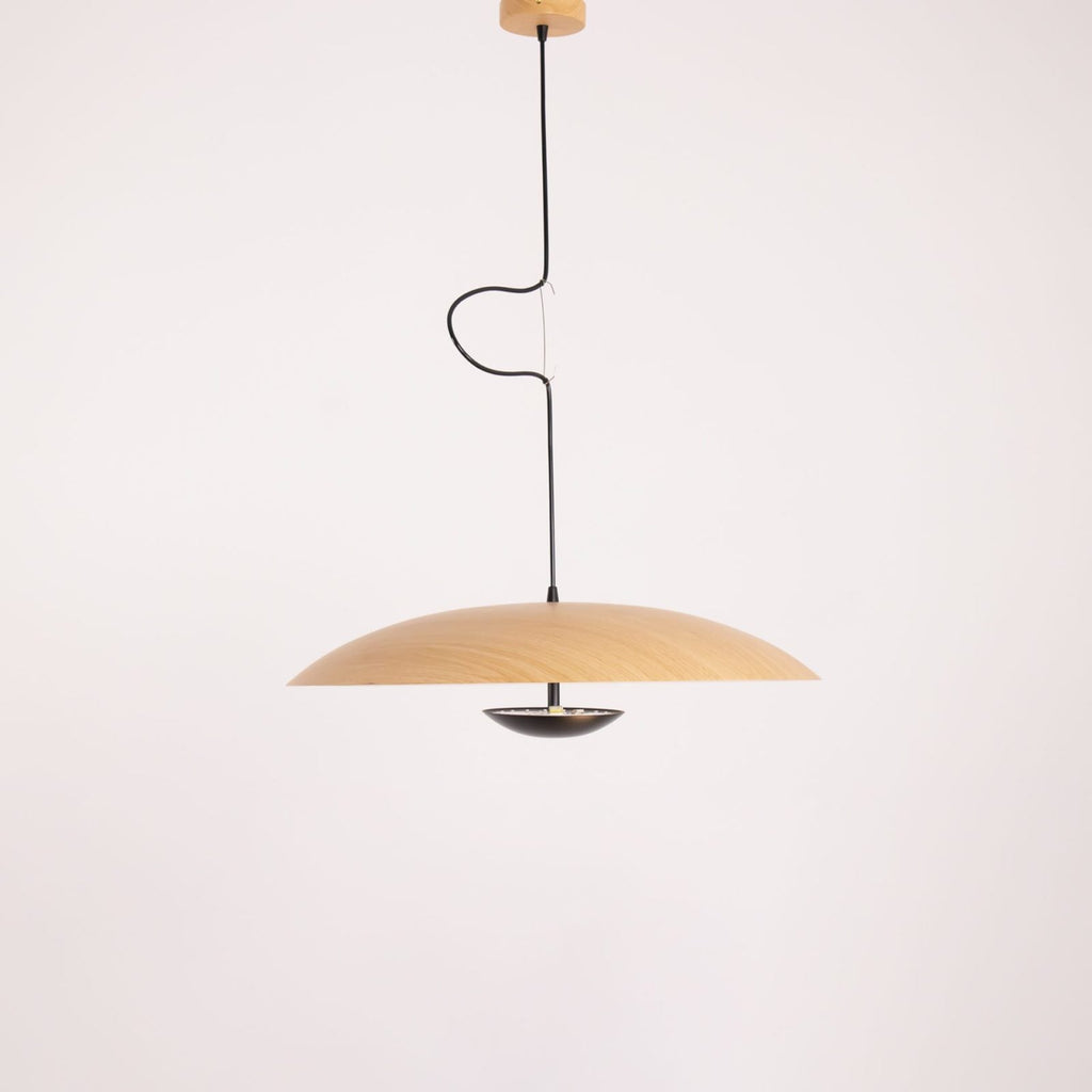 Ginger Pendant light