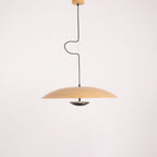 Ginger Pendant light